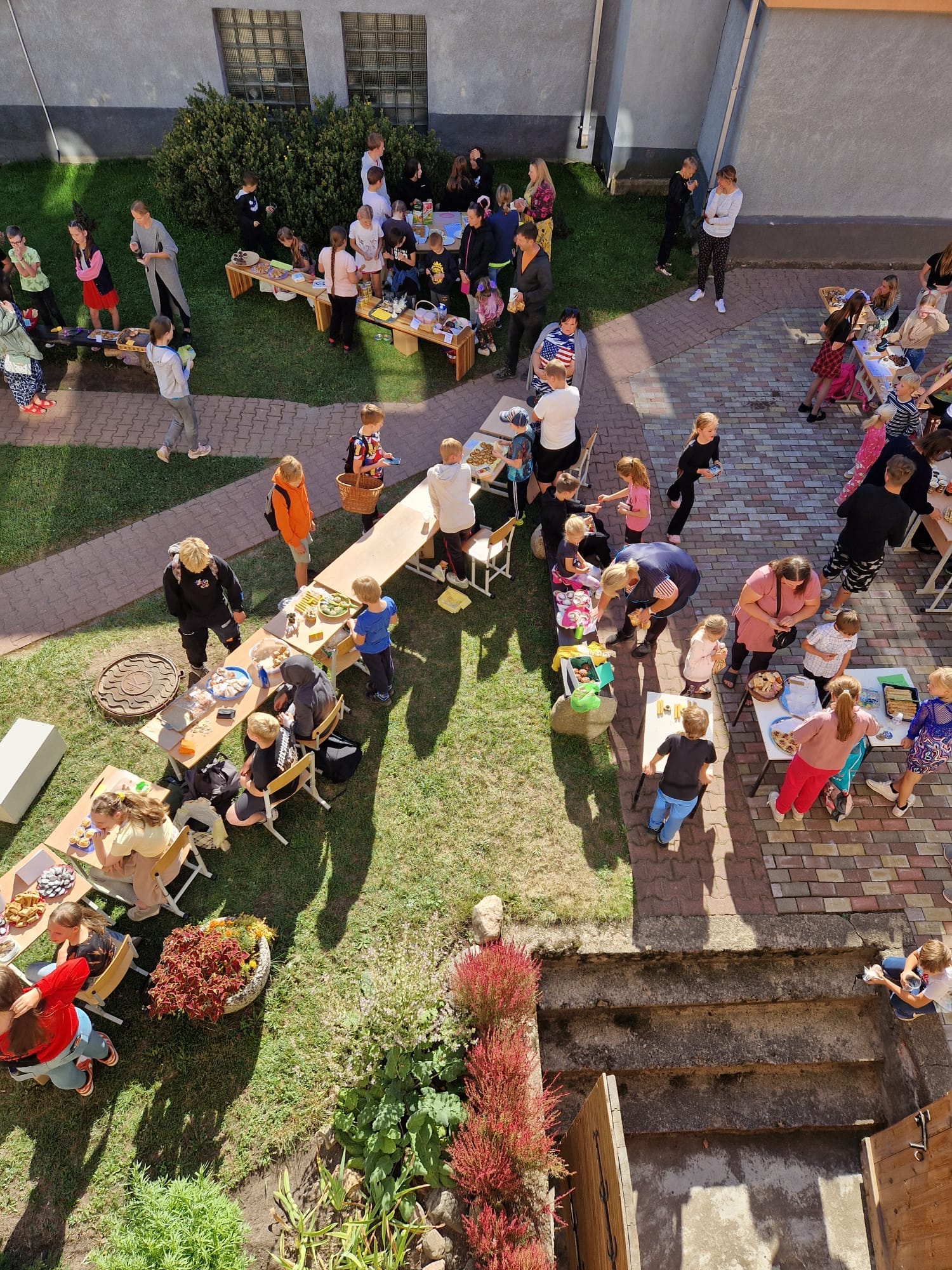 Flickr photo 54016076821